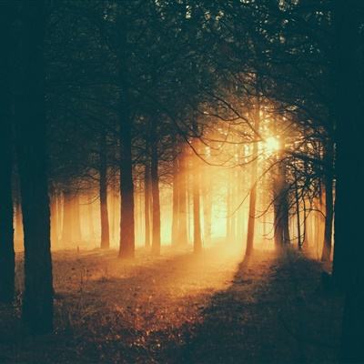 星空体育2024下载下载手机版